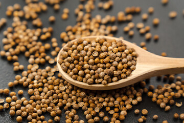 Coriander seeds, close-up, Chinese parsley, dhania and cilantro, used as aromatic and flavorful spice.