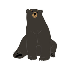 American Black Bear Single cute , png illustration