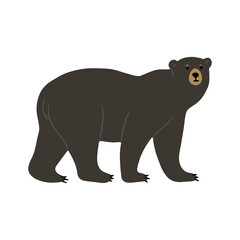 American Black Bear cute 2, png illustration