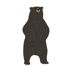 American Black Bear Single cute 11, png illustration