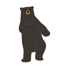 American Black Bear Single cute 10, png illustration