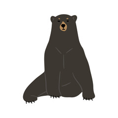 American Black Bear Single cute 12, png illustration