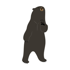 American Black Bear Single cute 13, png illustration