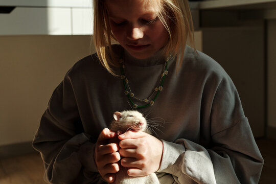 Horizontal medium shot of Caucasian girl wearing casual clothes spending time at home sitting on chair with her cute pet rat in daylight