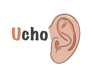 Polish alphabet with ear. Translation from Polish: ear. vector cartoon hand drawn illustration