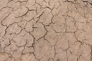 The texture of the dried earth with cracks and spots.