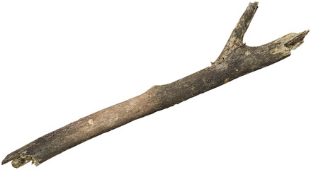 Dry branch tree naturally. © Ammak