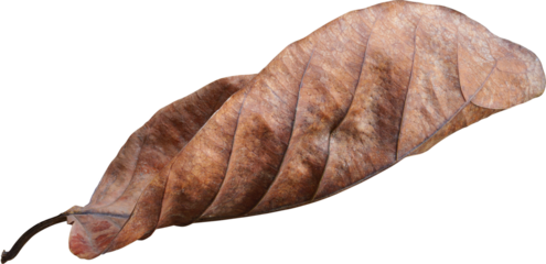 Dry leaves naturally.