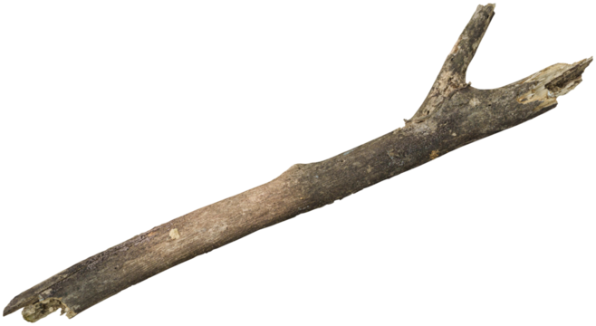 Dry branch tree naturally.