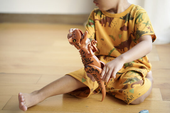 Happy Handsome Asian Boy Playing With Plastic Dinosaur Toy At Home, Soft Back Light