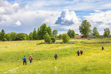 People hiking on a meadow in the countryside