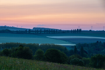 Sunrise in spring time with the silhouette of the typical Tuscan Poplar trees in a line alongside a road during the golden hour and the sun on the horizon.