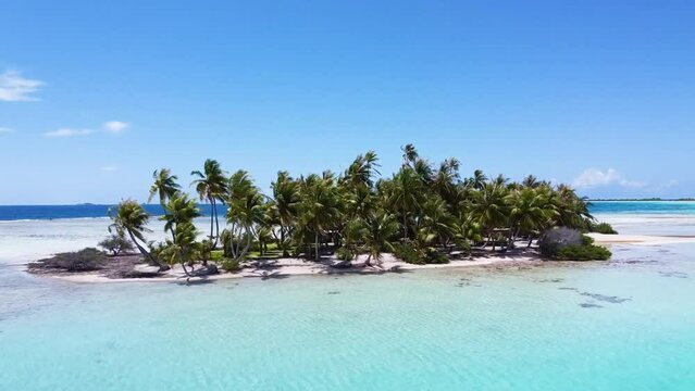 Aerial video of palm trees on a tropical island in French Polynesia 