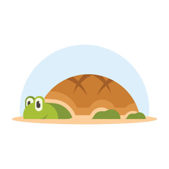 Turtle flat icon isolated on white background. Cute cartoon turtle vector illustration