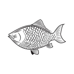 Hand drawn fish