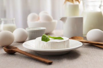 Concept of tasty food - different dairy products