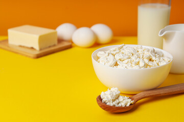 Concept of tasty food - different dairy products