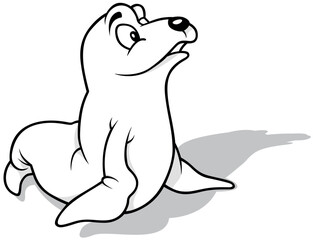 Drawing of a Cute Curious Sea Lion