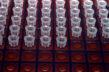 Disposable pipet tips arranged in a rack