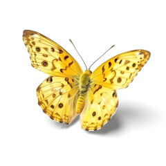 Yellow butterfly melitaea persea on a white isolated background. Generation of AI