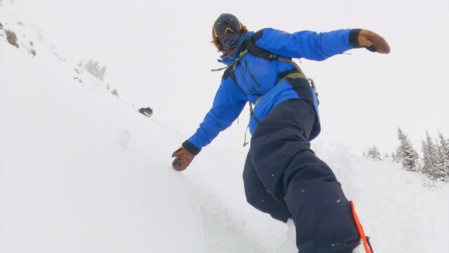 GoPro snowboard mount camera on board male snowboarder with mini Aussie dog fast down mountain turning slashing powder unique perspective epic ikon pass Colorado out of bounds ski resort whiteout day