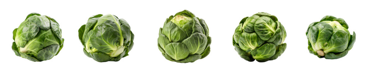 Set of brussel sprouts isolated on transparent background	