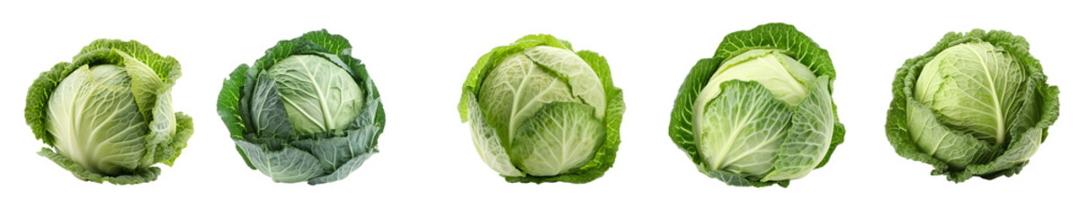 Set of cabbage isolated on transparent background	