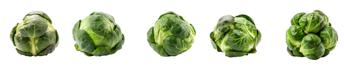 Fototapeta premium Set of brussel sprouts isolated on transparent background 