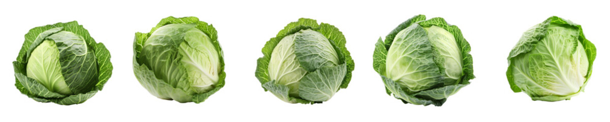 Set of cabbage isolated on transparent background	