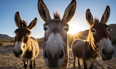 Smiling donkey strikes a pose for a hilarious selfie. Creating using generative AI tools
