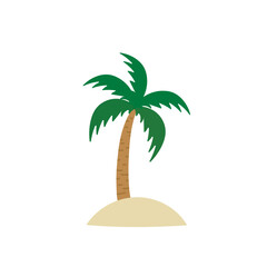 Summer coconut tree