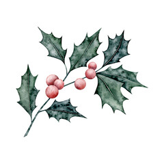 Fototapeta premium Ilex branches with red berries and leaves. Hand drawn watercolor illustration for Christmas card, souvenirs, winter poster, happy new year, sticker, invitation, greeting