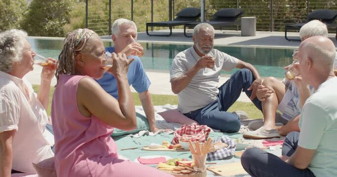 Happy diverse senior friends drinking a toast at picnic in sunny garden, unaltered, in slow motion