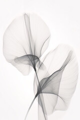 X ray Scandinavian Minimalist Flower  Design Art Print 