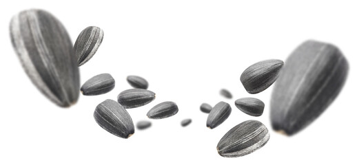 Flying delicious sunflower black seeds, cut out