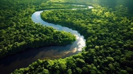 Aerial view of the Amazon Rainforest. Generative AI.