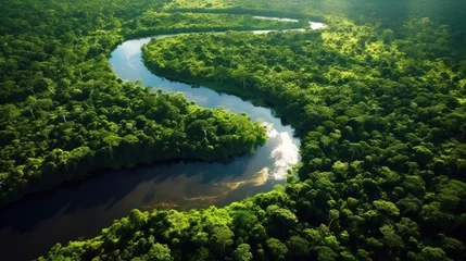 Foto op Canvas Aerial view of the Amazon Rainforest. Generative AI. © Pro Hi-Res