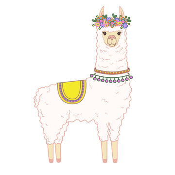 Cute llama. Illustration on transparent background