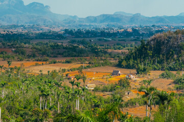 The Vinales valley with the Mogotes from the mirador de Los Jazmines in Cuba