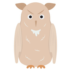 Baby Dreamer Magic Bohemian 14