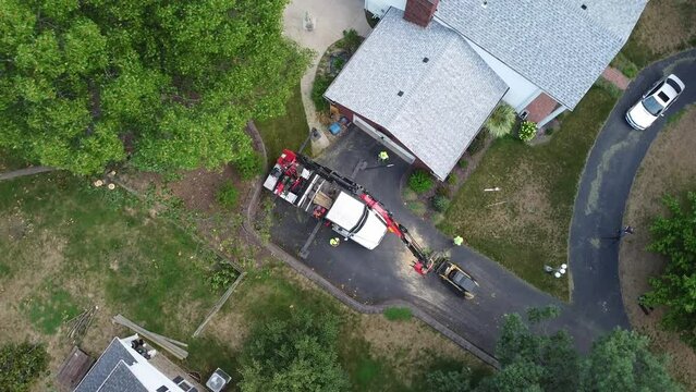 Circling Overhead Drone Shot of Boom Arm Truck Tree Trimming