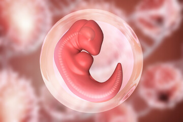 Human fetus on scientific background. 3d illustration.. - obrazy, fototapety, plakaty