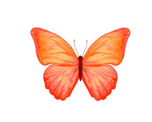 Fototapeta premium watercolor butterfly hand drawn design vector