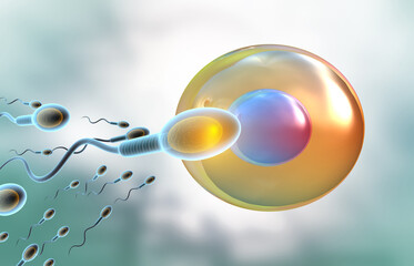 Human sperm and egg. 3d illustration..