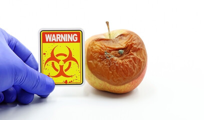 Danger of avoiding consuming foods contaminated by fungi that produce Mycotoxins. Concept of food safety.