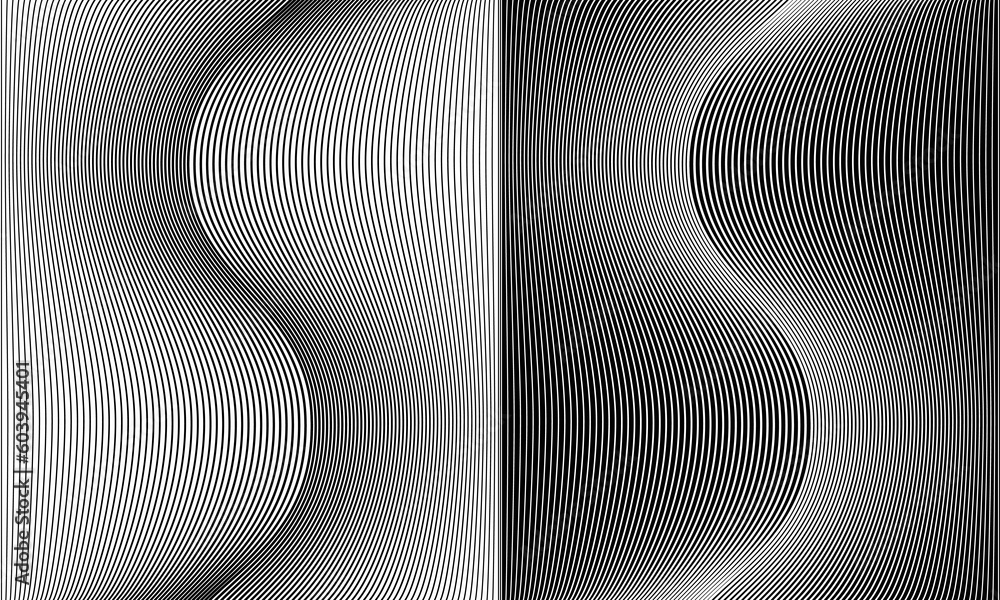 Leinwandbilder Abstract background with waves lines. Illusion of dynamic transition. Black lines on a white background and white lines on the black side.
