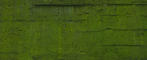 Obraz premium old mossy concrete wall bacground