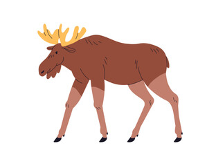 Elk, wild forest animal with horns. Big European, American mammal, walking, side view, profile. Herbivorous fauna. Cervus canadensis. Flat vector illustration isolated on white background