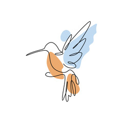 Hummingbird Line Art Vector. Hummingbird wall art, Exotic bird print, Jungle illustration, Tropical wall decor, Animal painting, Hummingbird poster, Wildlife artwork