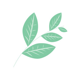 Autumn Leaf Illustration